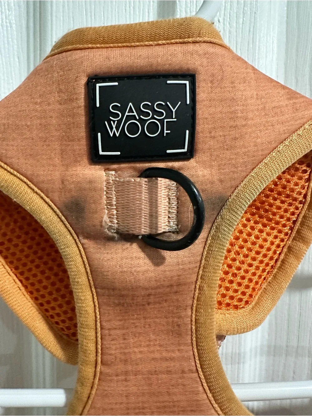 Sassy Woof Apple Cider Light Orange Fall Dog Harness